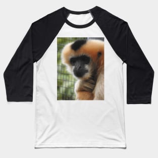 White-cheeked gibbon Baseball T-Shirt